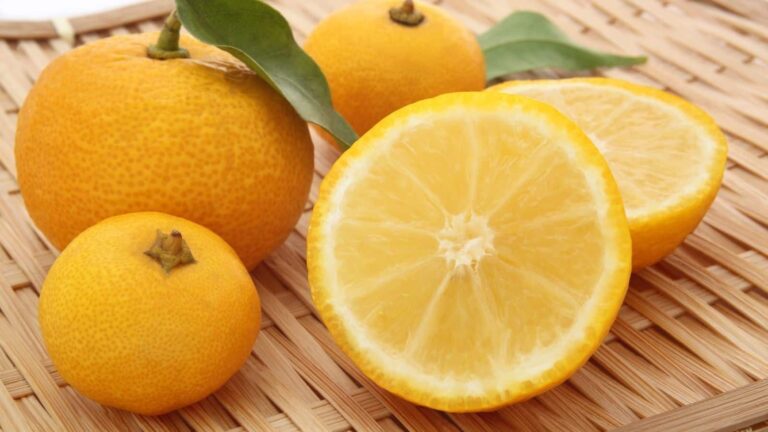 Lemon Benefits: शुगर रोगियों के लिए रामबाण है नींबू, जानिए कैसे करें इसका सही इस्तेमाल – diabetes diet with lemon uses to control blood sugar and health benefits